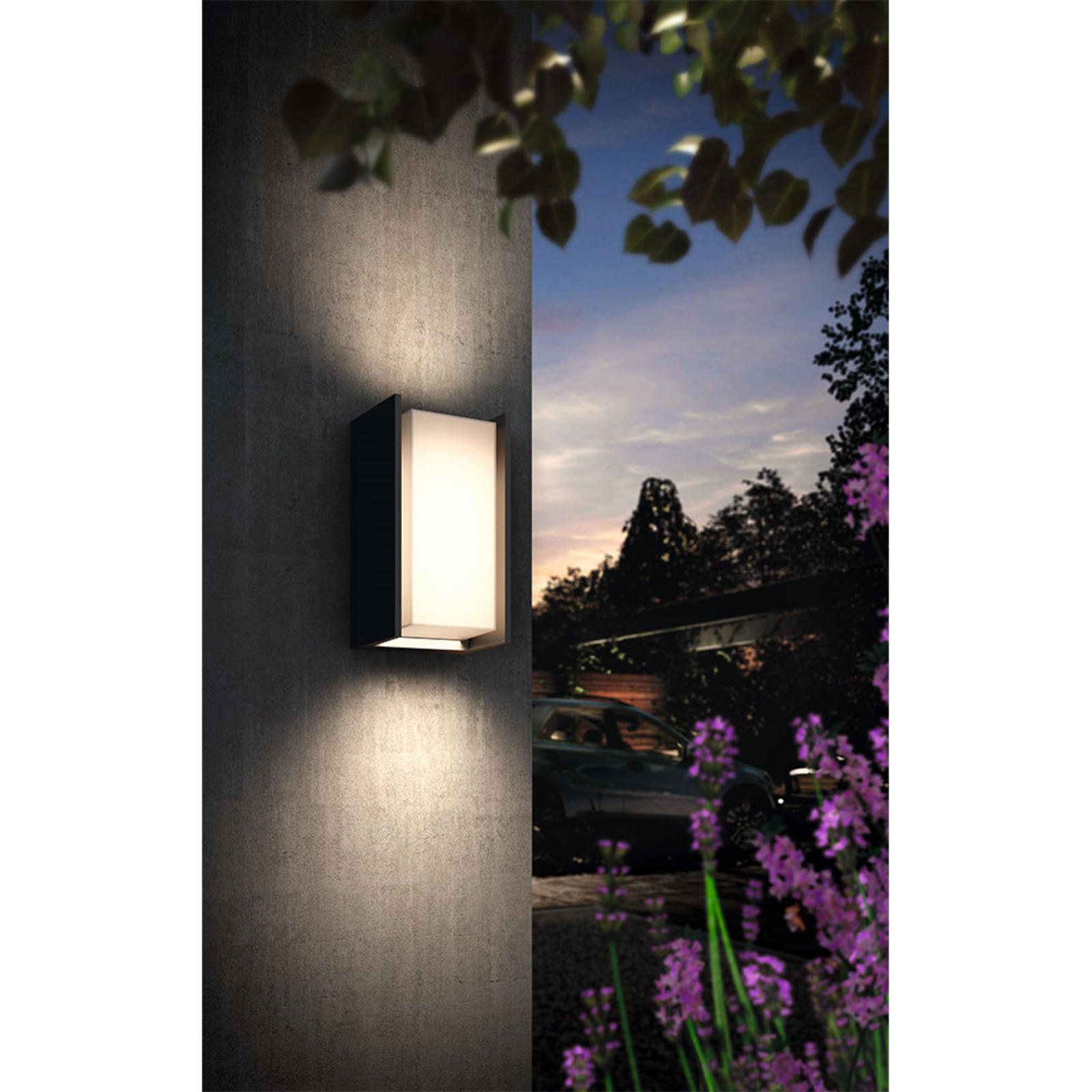 Turaco Aplica de Exterior Hue White Antracit - Philips Hue