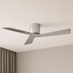 Ventilateur de plafond Lucande Ventoro, Ø 132 cm, argent, métal