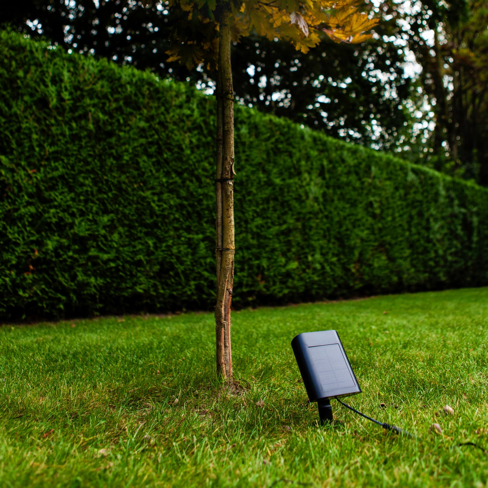 LED prikspot BINGO, zwart, 16 cm, sensor, IP54