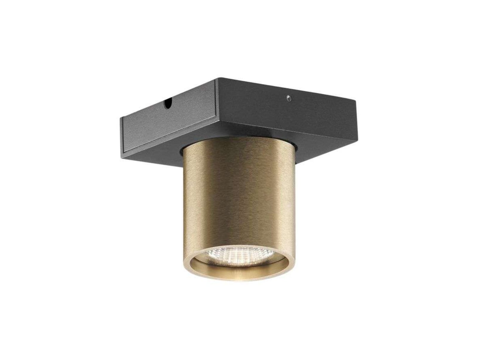 Focus Mini 1 LED Loftlampe 2700K Brass LIGHT-POINT - Stue - Aluminium
