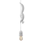 Karman Sherwood e Robin - designer hanging light