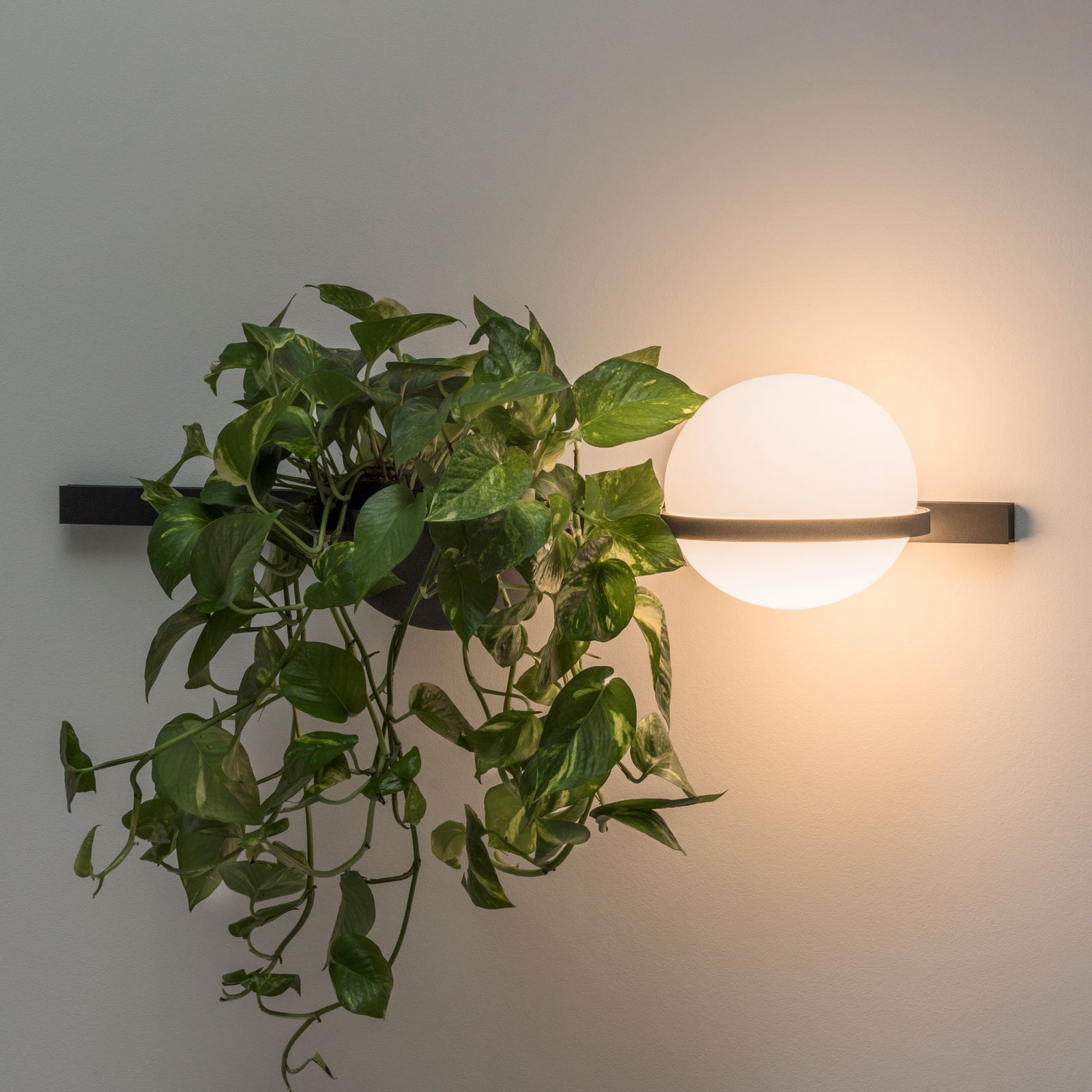 Vibia Palma 3702 Wandleuchte, Pflanzschale