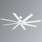 Eight-blade LED ceiling fan Century white