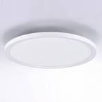 LED stropna svetilka Flat CCT, Ø 40 cm, bela