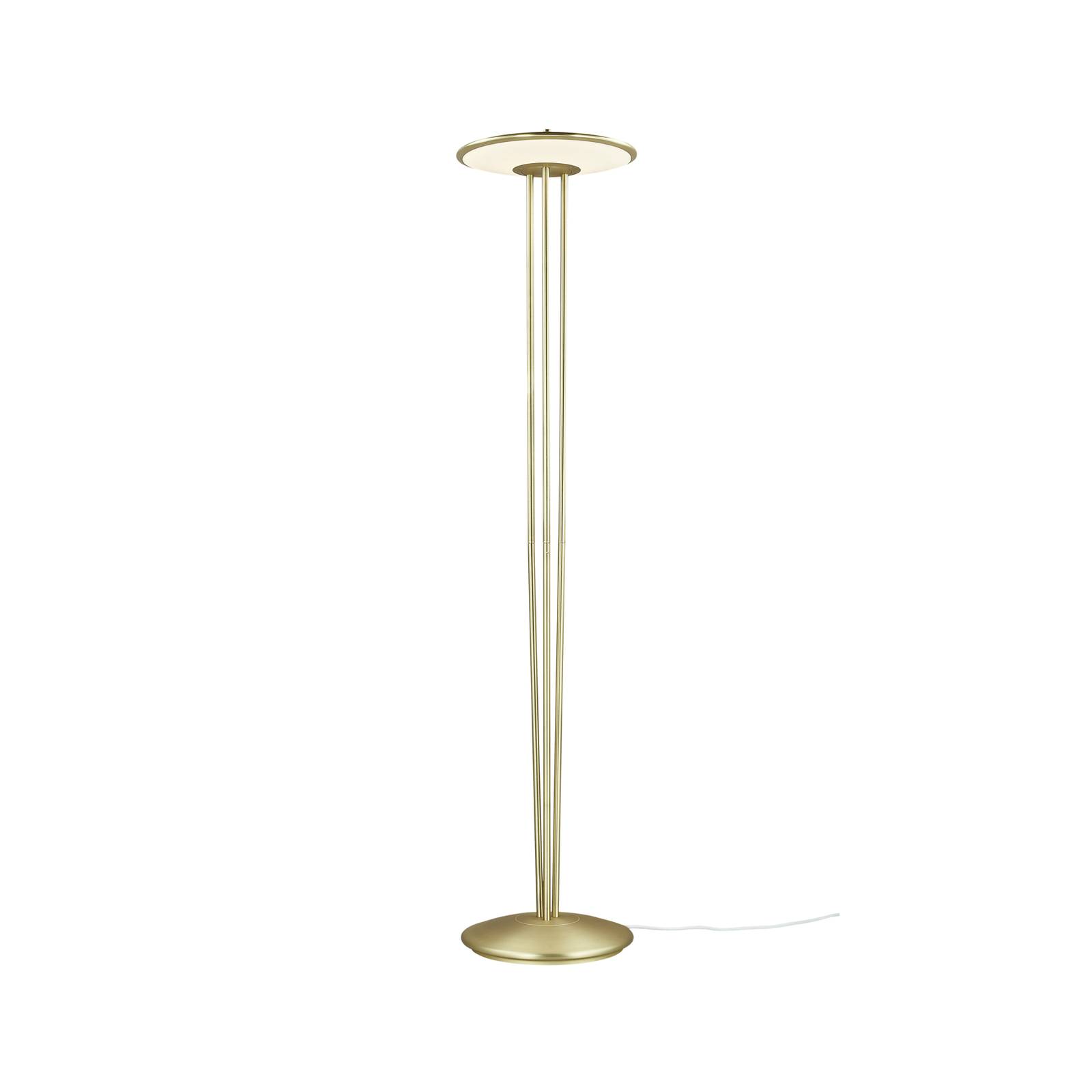Image of Lampadaire LED Blanche avec fonction dimmable 5704924004230