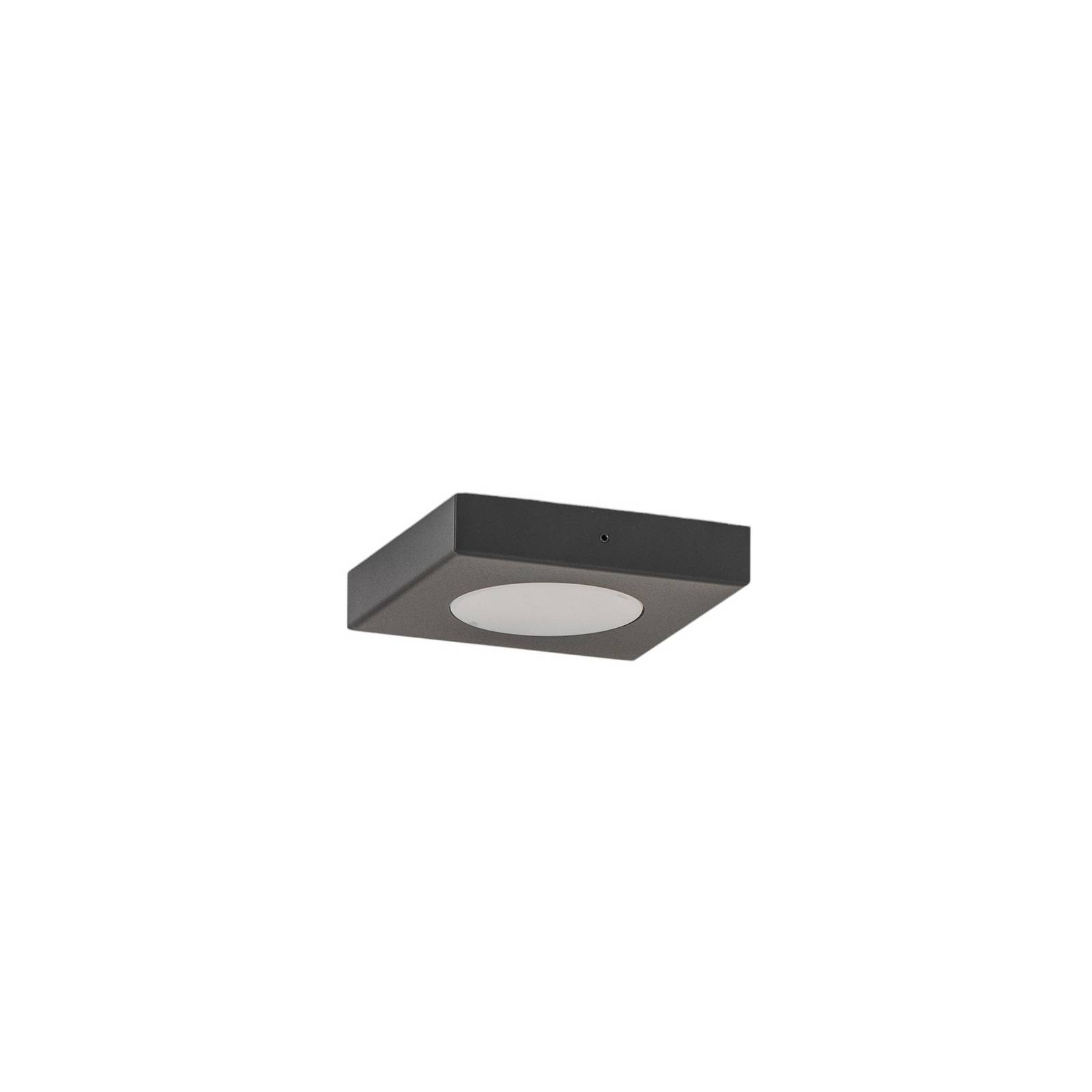 Deckenleuchte Hero, 12 x 12 cm, schwarz, Metall, GX53