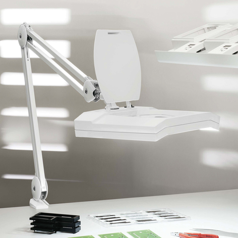 LED-Lupenleuchte MAULvitrum mit Klemme