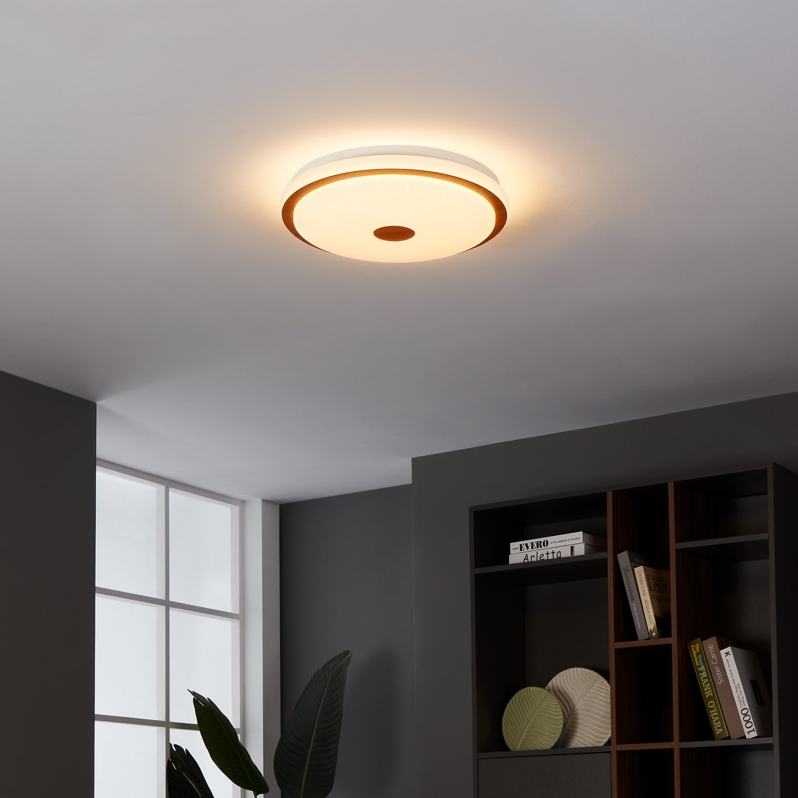 Plafonieră cu LED Lanciano 1 cu telecomandă Ø38cm