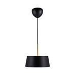 Clasi 30 pendant light in black with diffusers