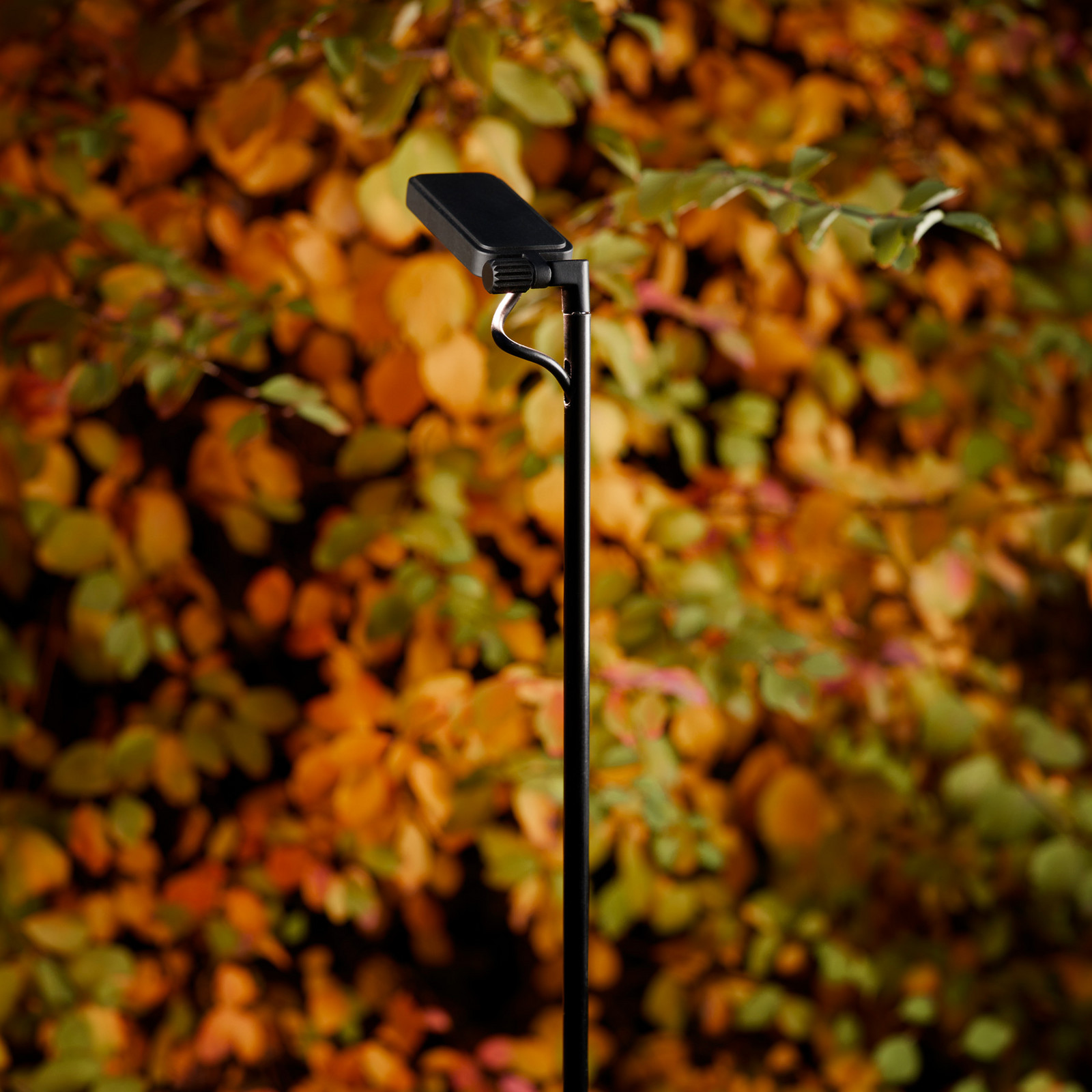 Luceplan Bornă luminoasă LED Flia 2 becuri negru plastic - Design - negru mat