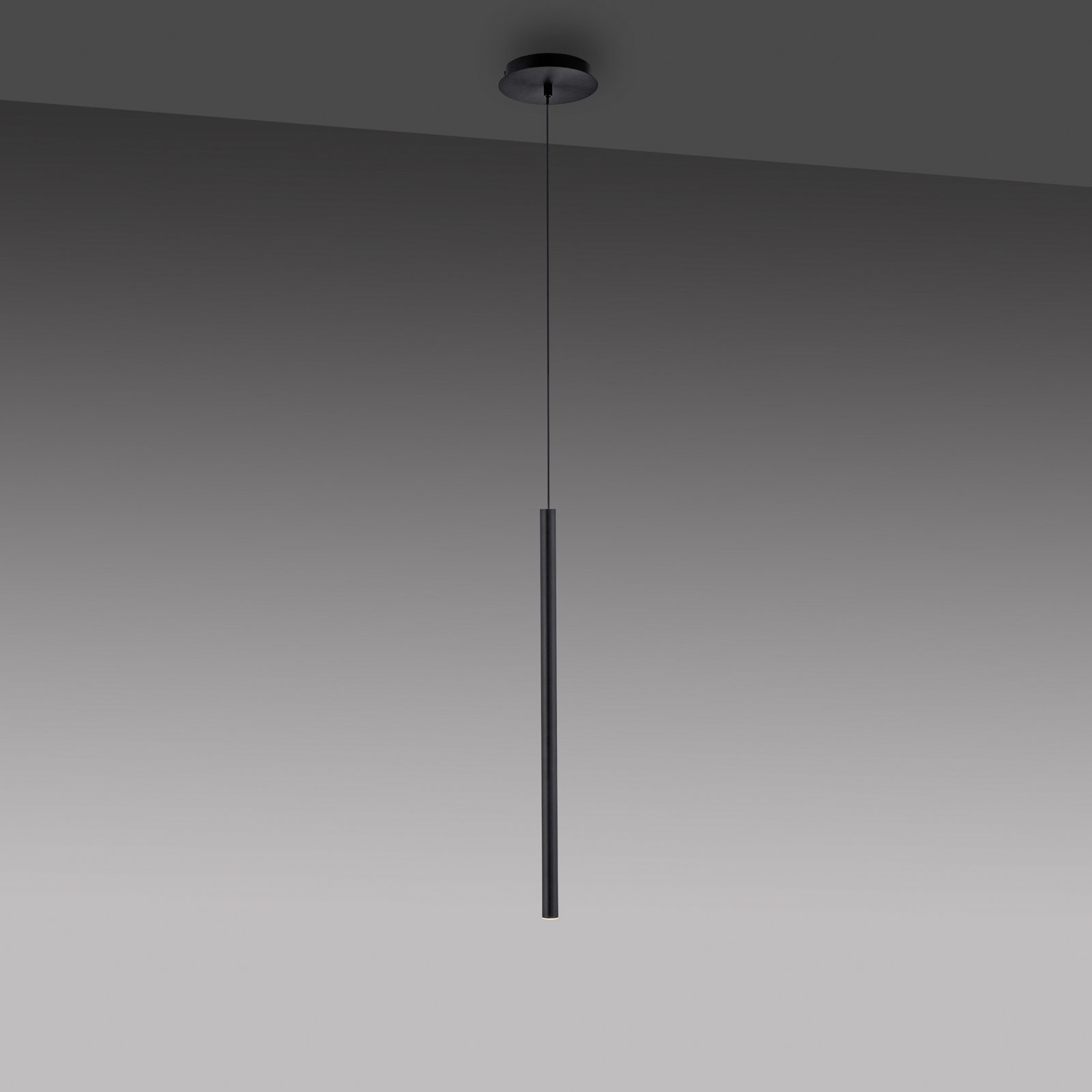 Paul Neuhaus Flute LED viseča svetilka 1-svetlobna črna