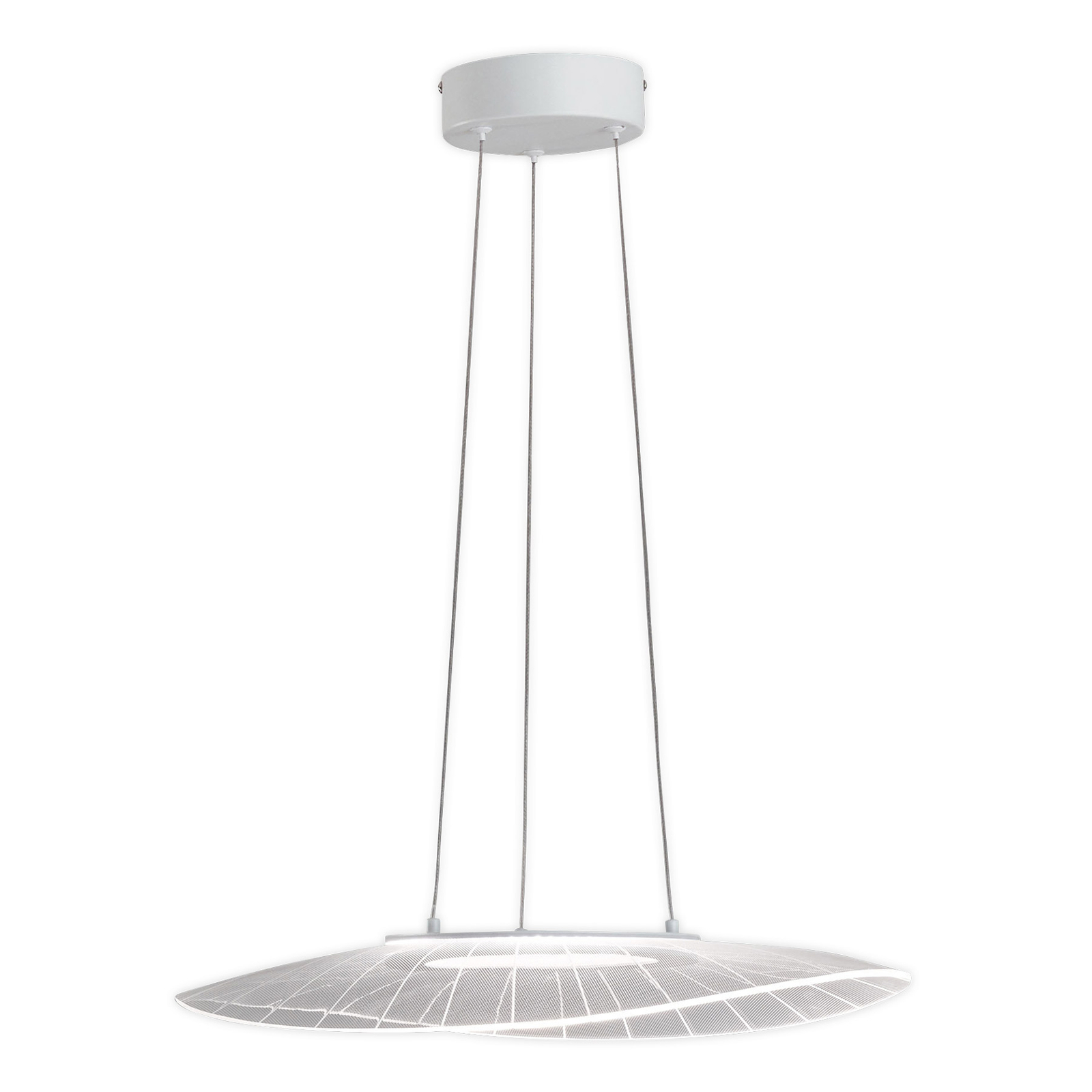 Závesné svietidlo LED Vela, biele, oválne, 59 cm x 43 cm