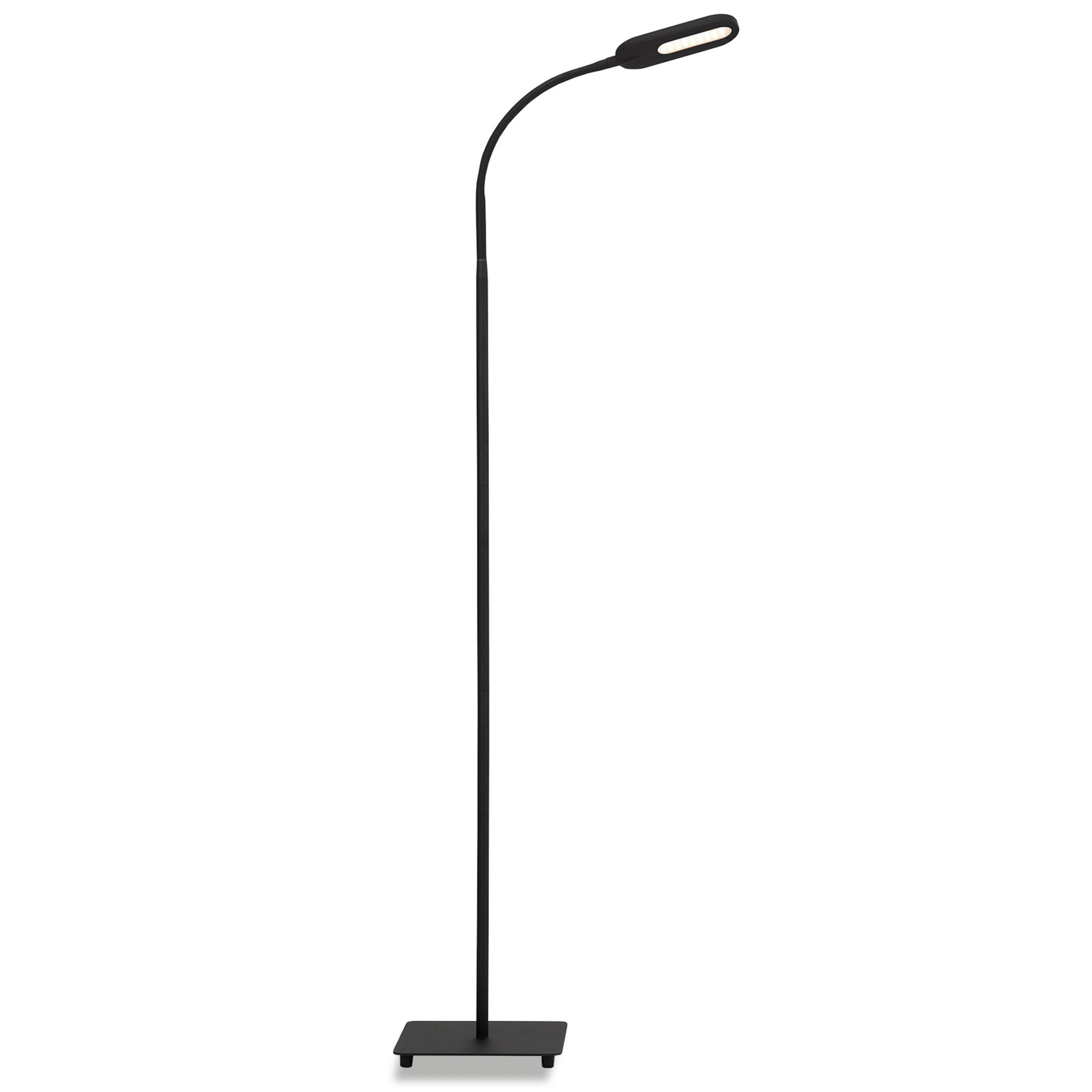 Lampe sur pied LED Office Step, intensité variable, noir