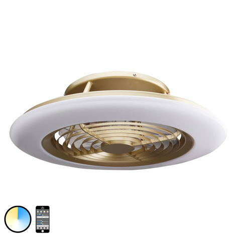 LED-takvifte Alisio, app-kontrollerbar, messing