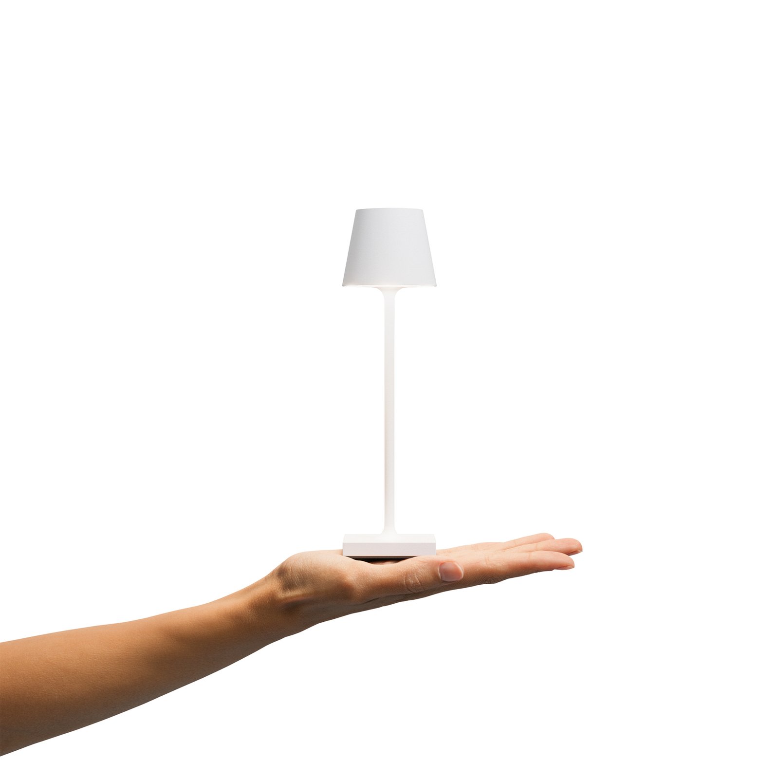 Nuindie lampada da tavolo LED tascabile ricaricabile, bianco neve
