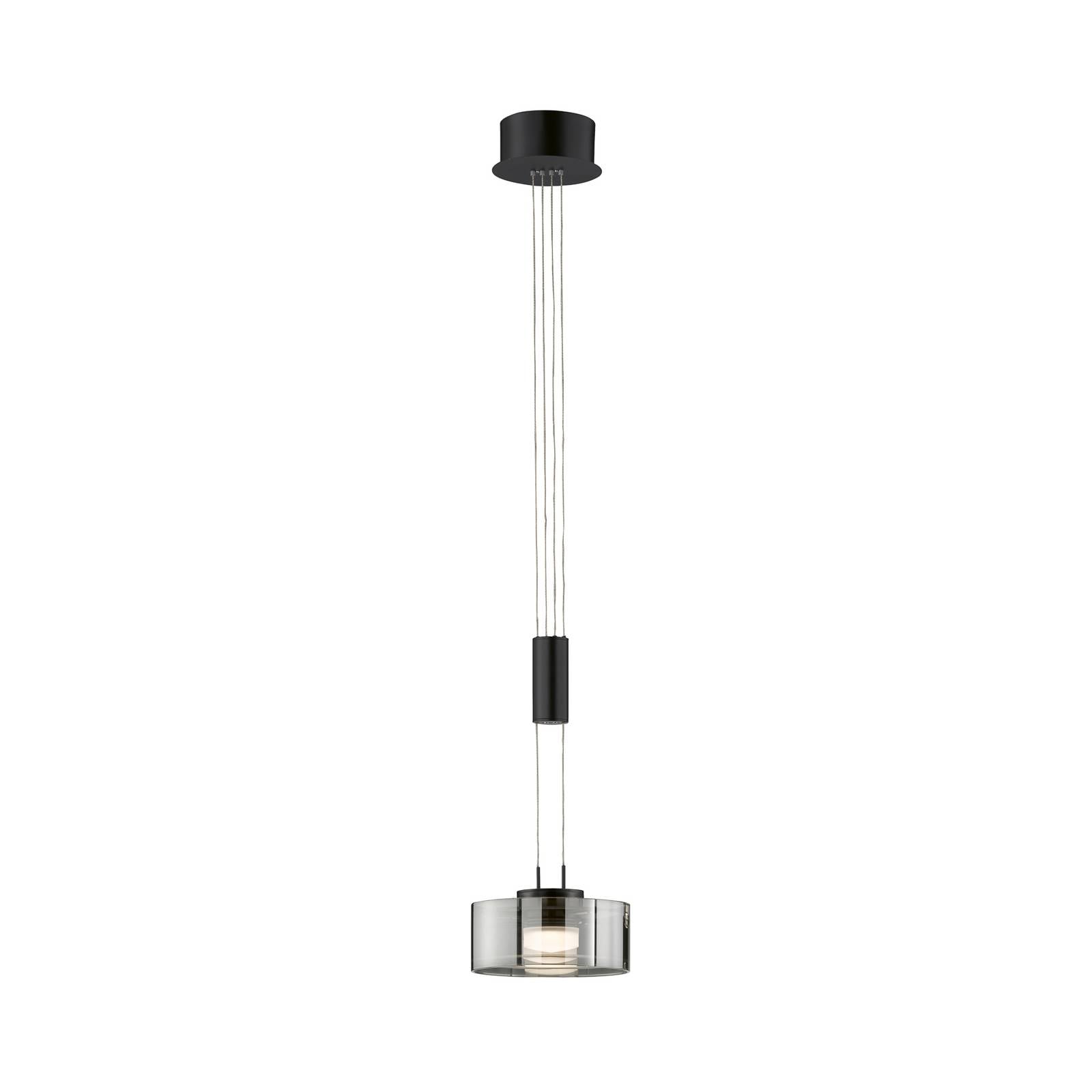 LED-Hängelampe LAVIN, schwarz/rauch, Ø 20 cm Metall/Glas dim