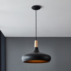 Sabinar viseća svjetiljka, 1 žarulja, crna, Ø 40 cm