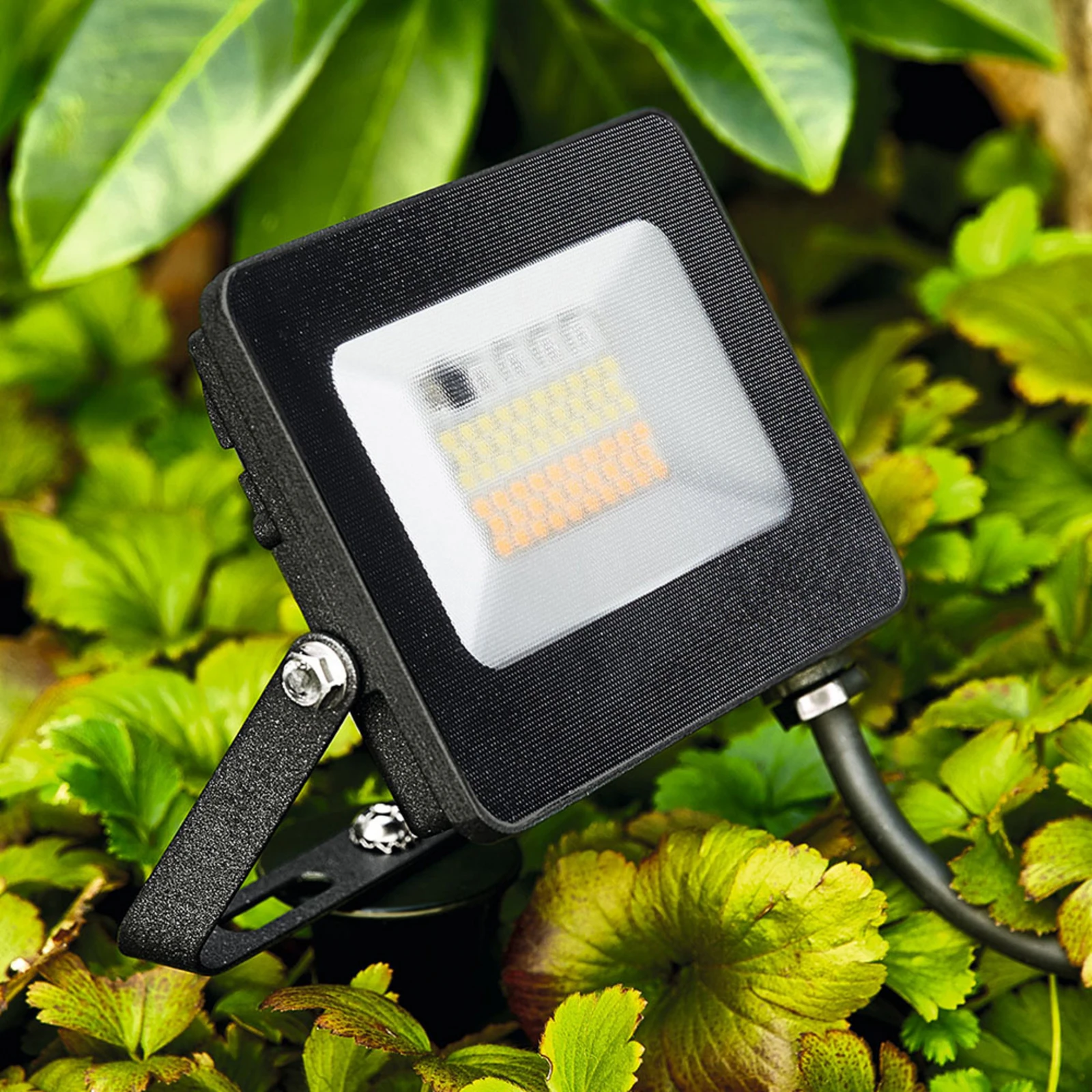 Reflector LED pentru exterior Kingston cu țepușă de sol, RGBW