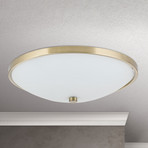 Tayla Ceiling Light Fine 39.5 cm