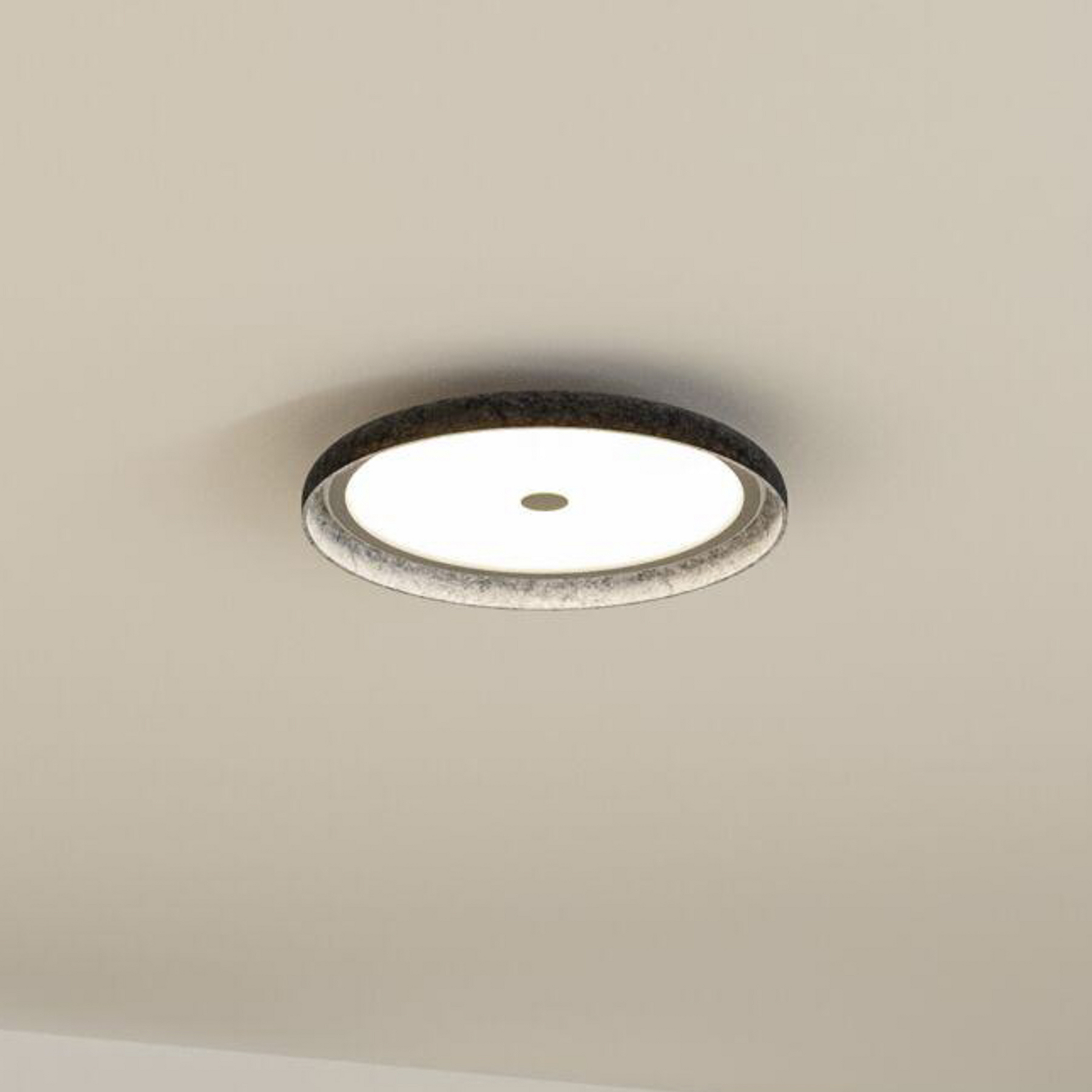 Paulmann LED-taklampe Zarina, antrasitt, filt, 3-trinns dimming