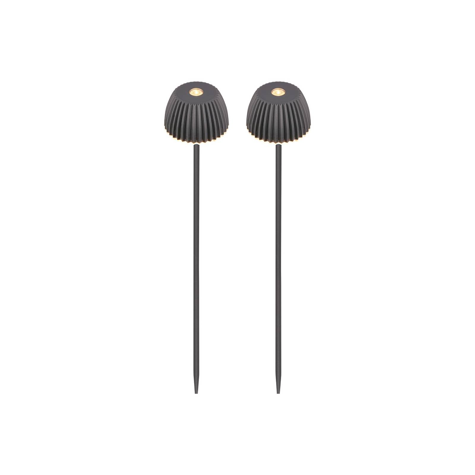 LED-Akku-Erdspießlampe RIFFLE NANO, anthrazit Ø 6 cm 2er-Set