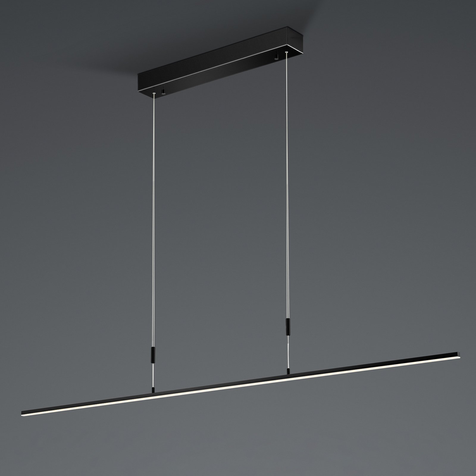 BANKAMP Slim péndulo ZigBee atenuable 128cm negro