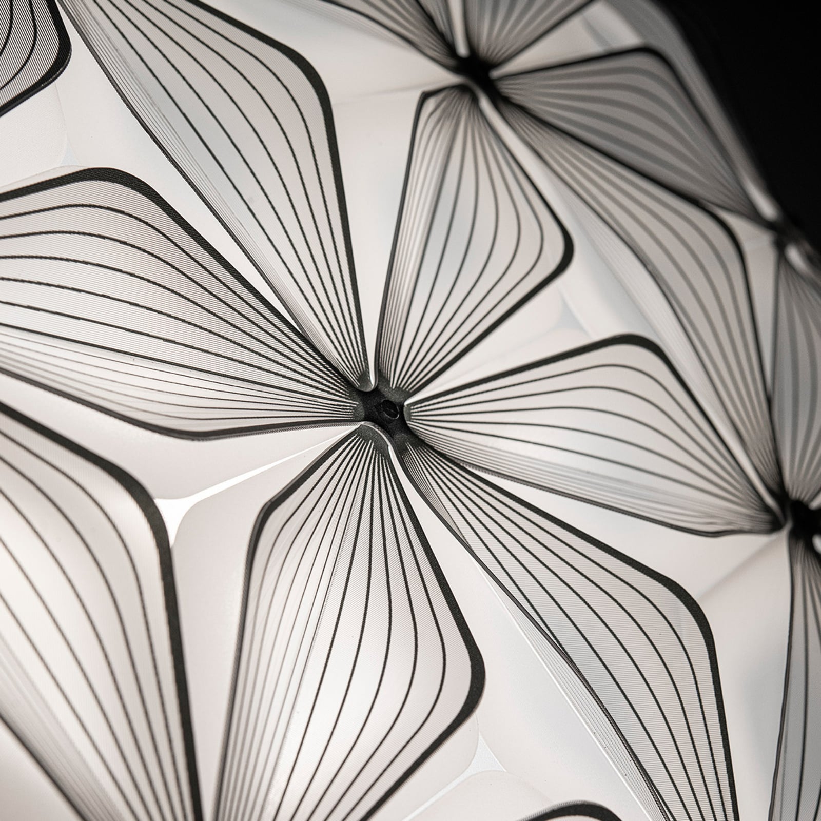 C'EST LA VIE stropna svjetiljka, crna, Ø 47 cm, 2 svjetla, E27