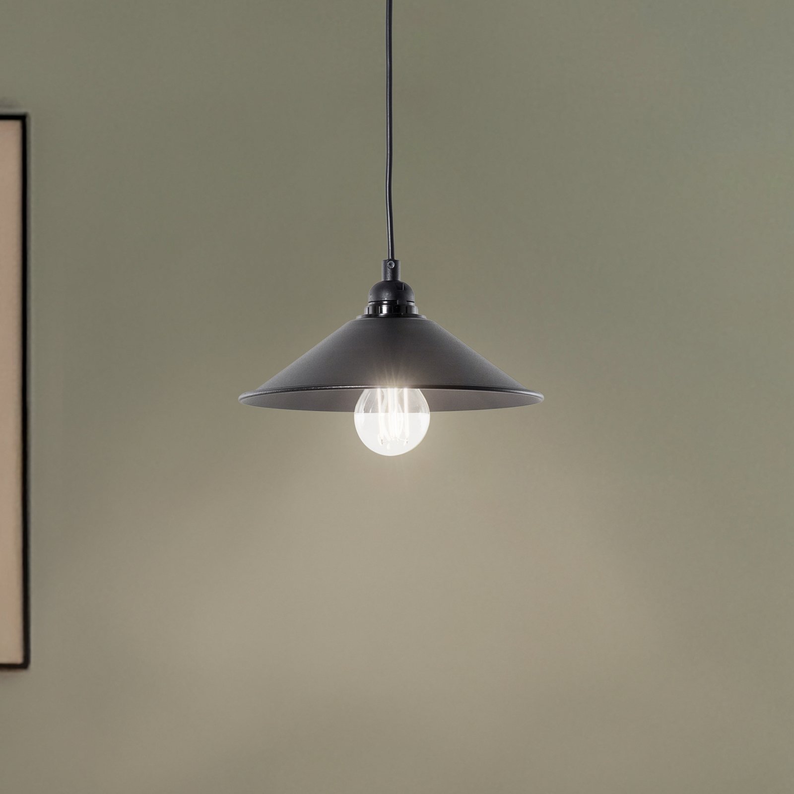 Hanging light GMN-00007 1-bulb wood detail black