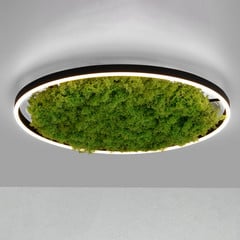 Plafoniera LED Verde Ritus, muschio dimmerabile Ø58,5cm