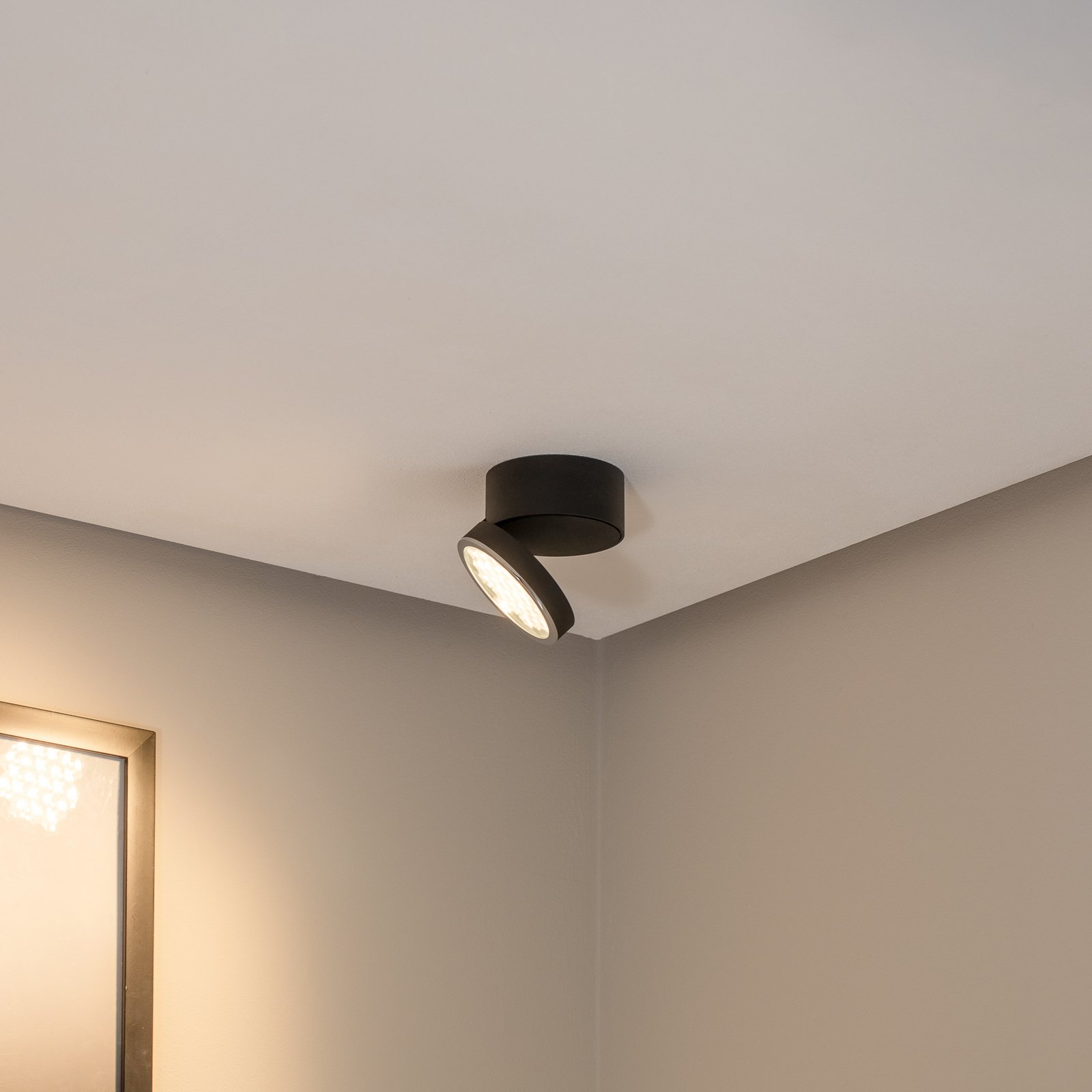 Bega Faretto LED da soffitto 51312.5 metallo nero DALI orientabile