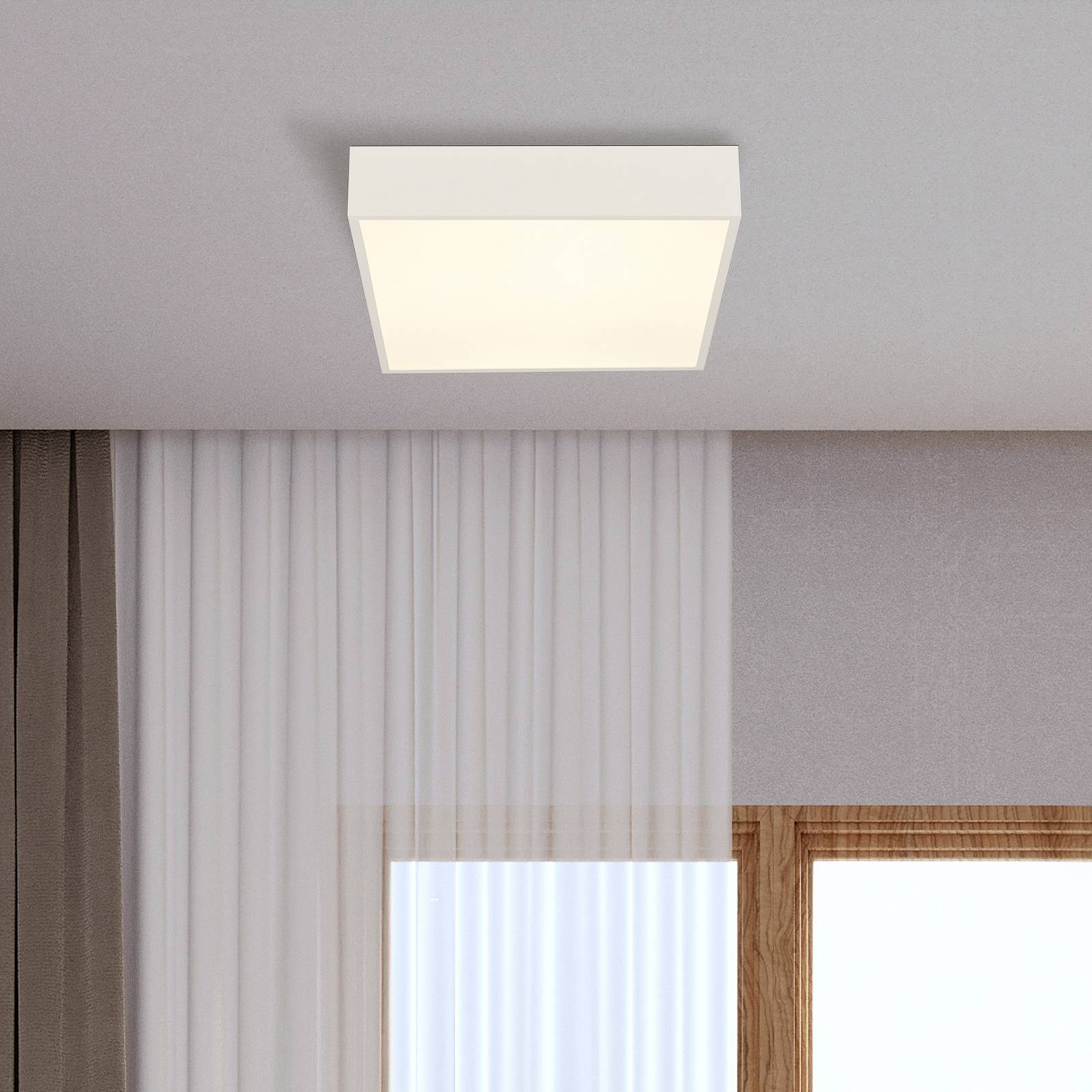 LED-Bad-Deckenlampe Zeus, weiß, Länge 30 cm, Metall günstig online kaufen