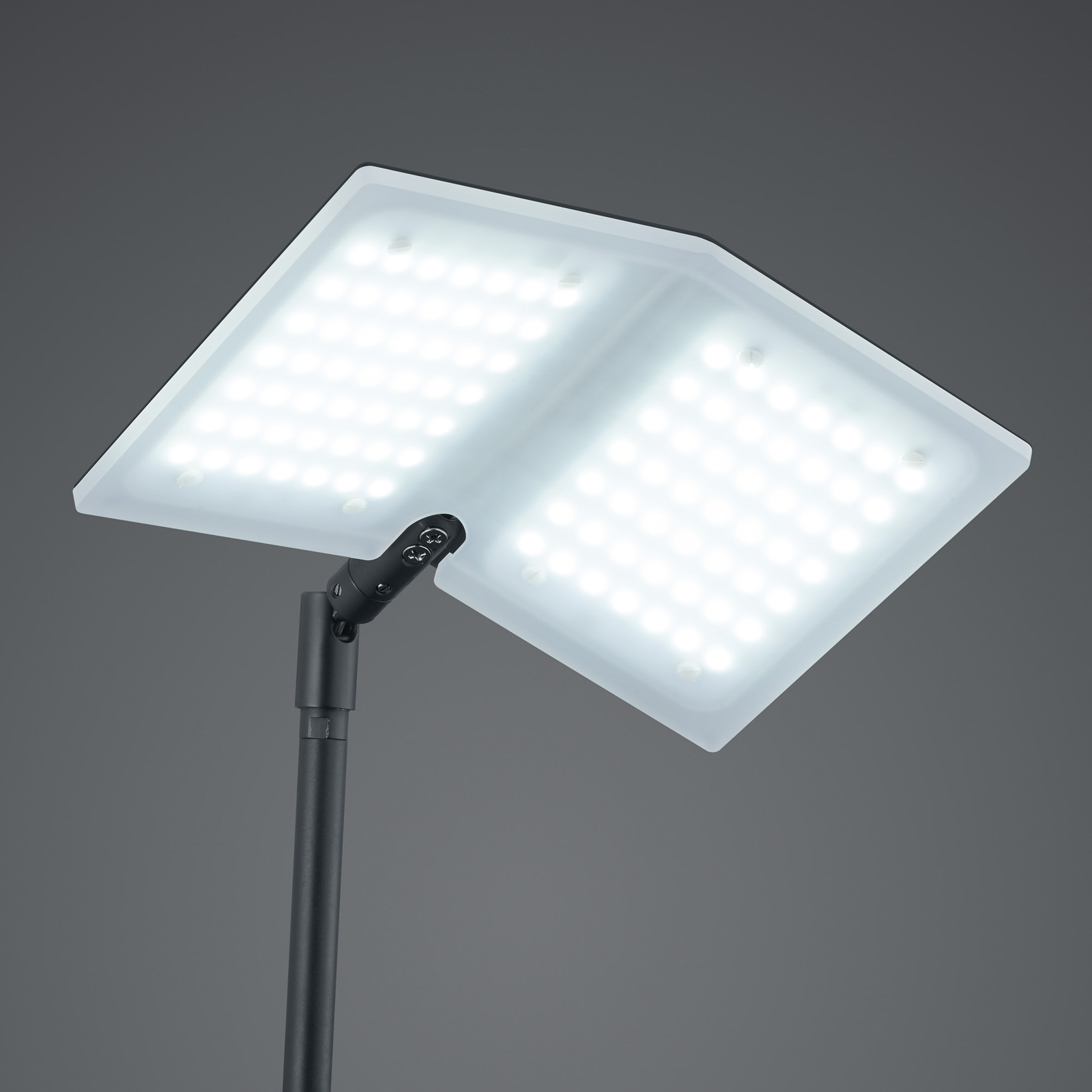 BANKAMP Book LED-gulvlampe med CCT og dimmer