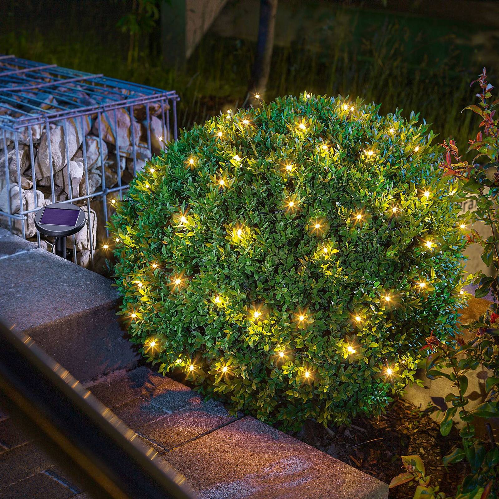 Compra Cadena de luces LED solar Premium con 60 LED | Lampara.es