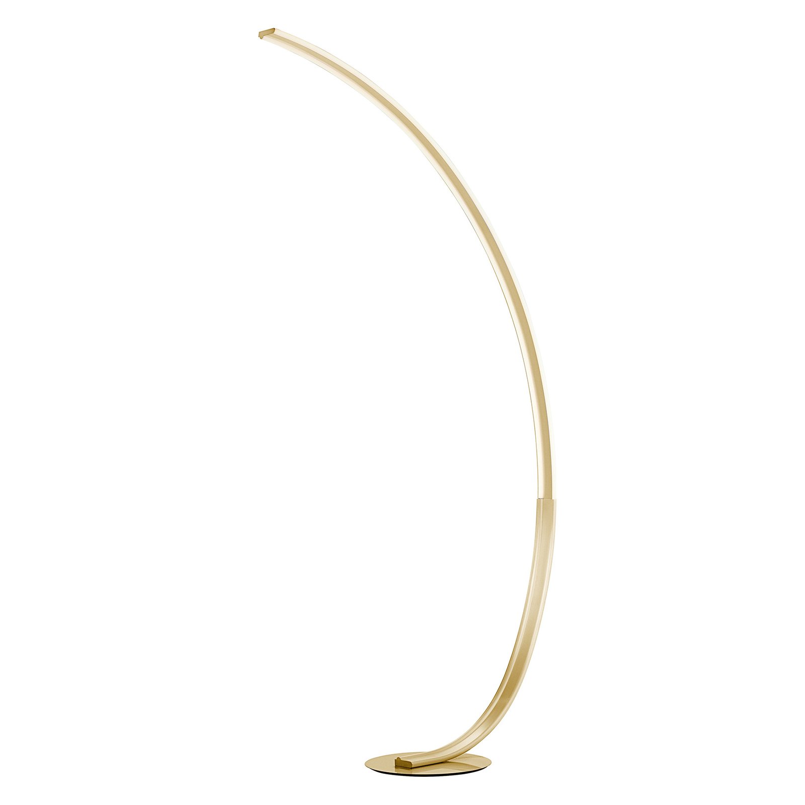 Paul Neuhaus Q-VITO LED floor lamp, curved