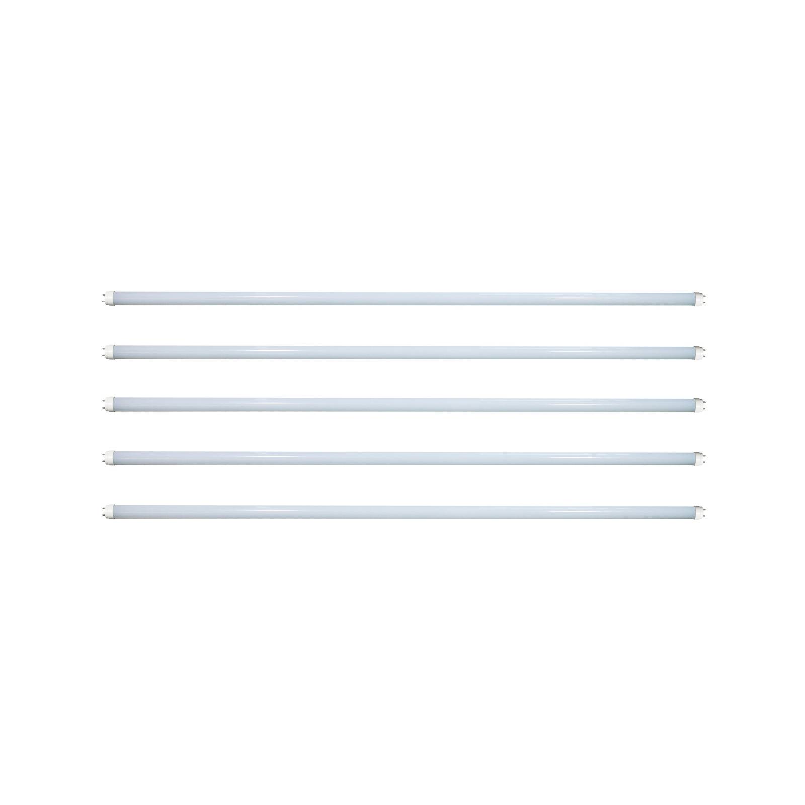 Arcchio LED-Leuchtmittel Röhre G13 T8 5,5W 3000K 60cm 5er