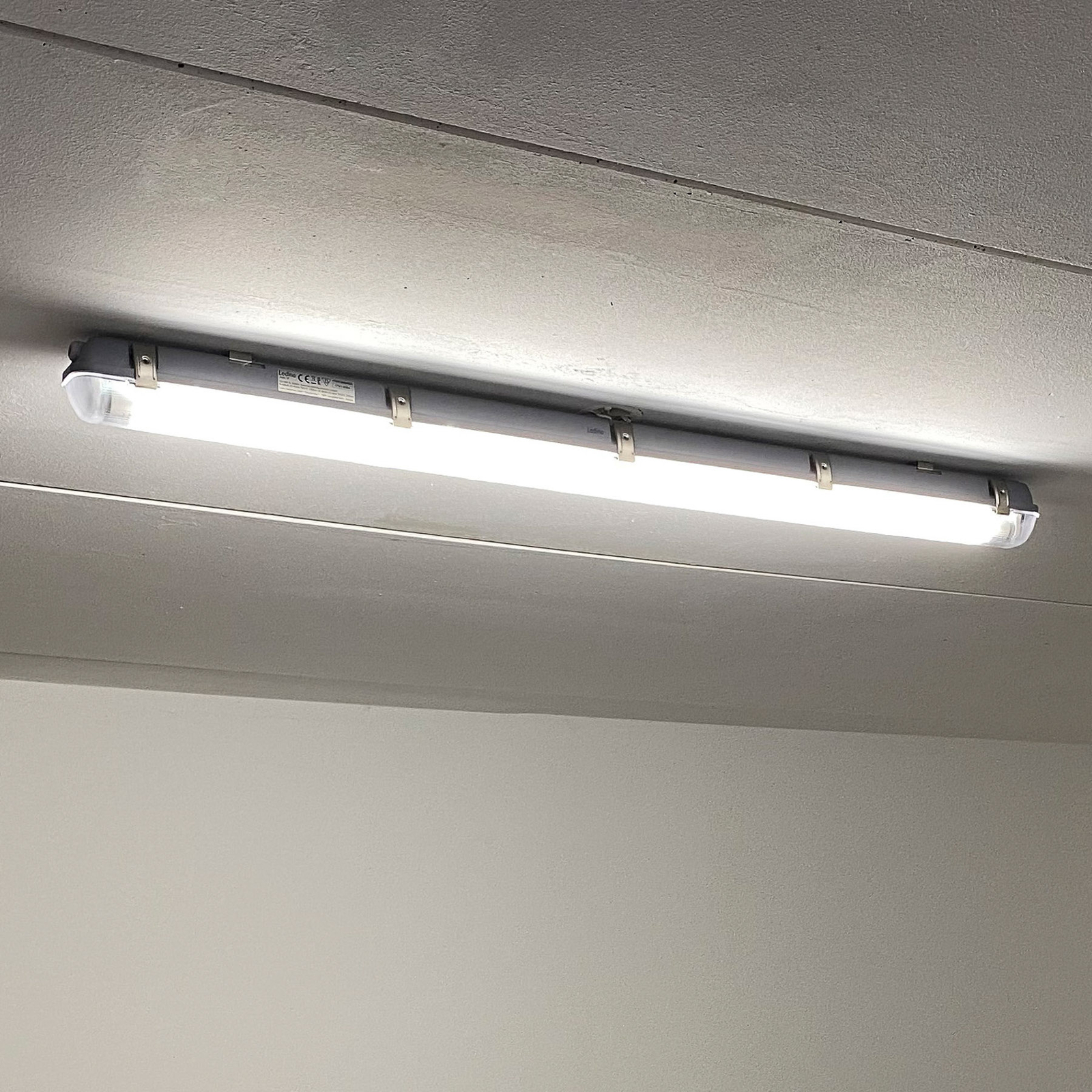 Lámpara LED resistente a humedad Niehl 18 IP65 18W