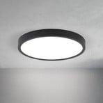 LED ceiling lamp Disc, black Ø 24 cm, CCT metal/plastic
