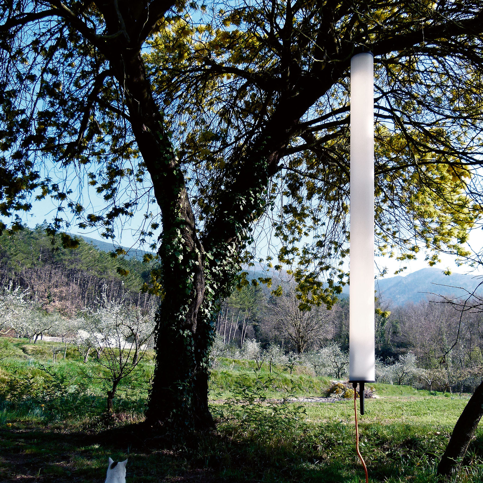 Martinelli Luce Pistillo Außenhängelampe, Stecker