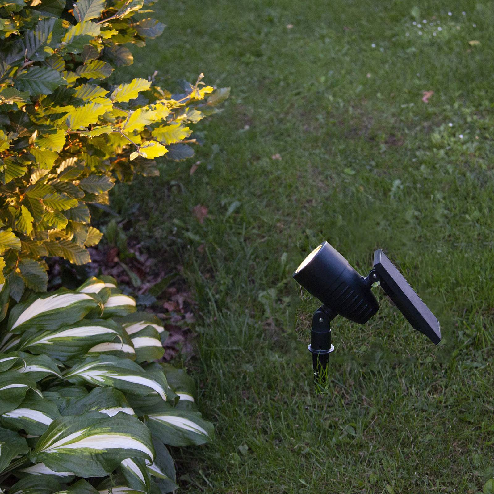 LED-Solar-Erdspießstrahler Powerspot Sensor 50lm günstig online kaufen