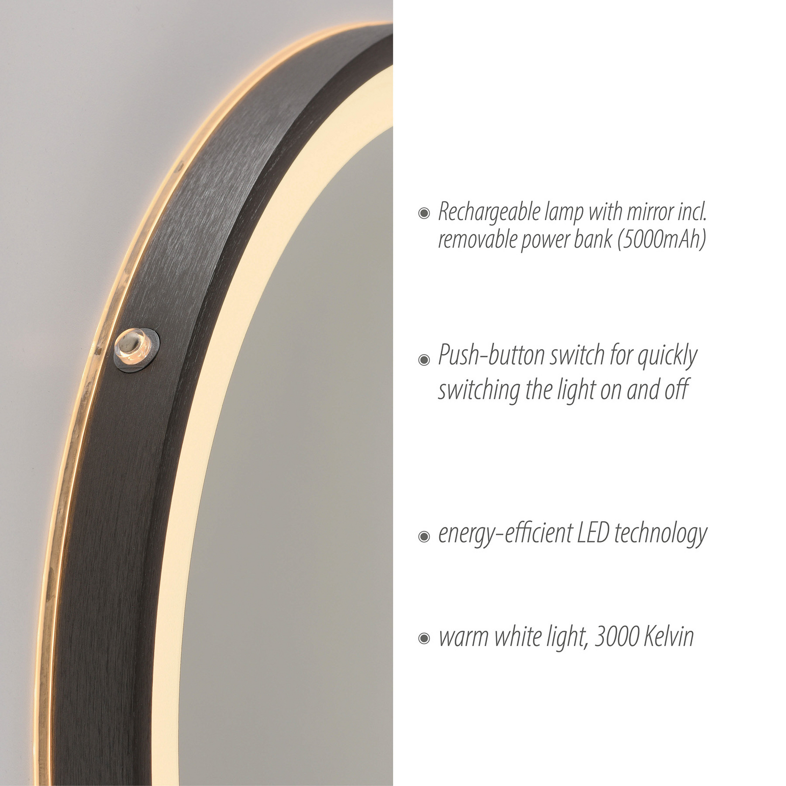 VIDRO LED wall mirror, grey, Ø 46 cm, power bank, switch