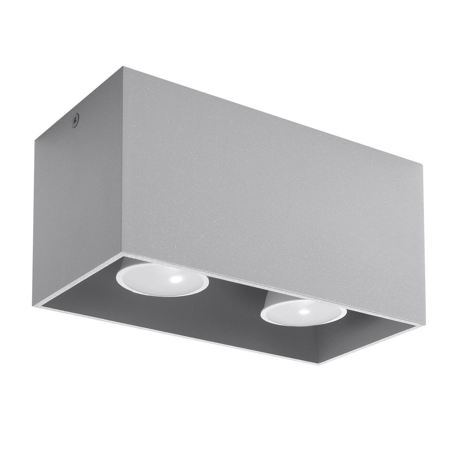 Plafondlamp Ara Maxi in aluminium 2-lamps grijs