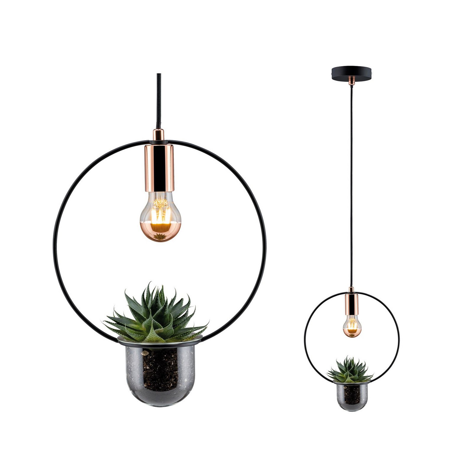 Paulmann lampă pendul Tasja cu ghiveci plante - Camera de zi / sufragerie - modern - negru cupru - Metal