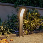 Philips LED tuinpadverlichting Splay UE, 60 cm, antraciet, IP44