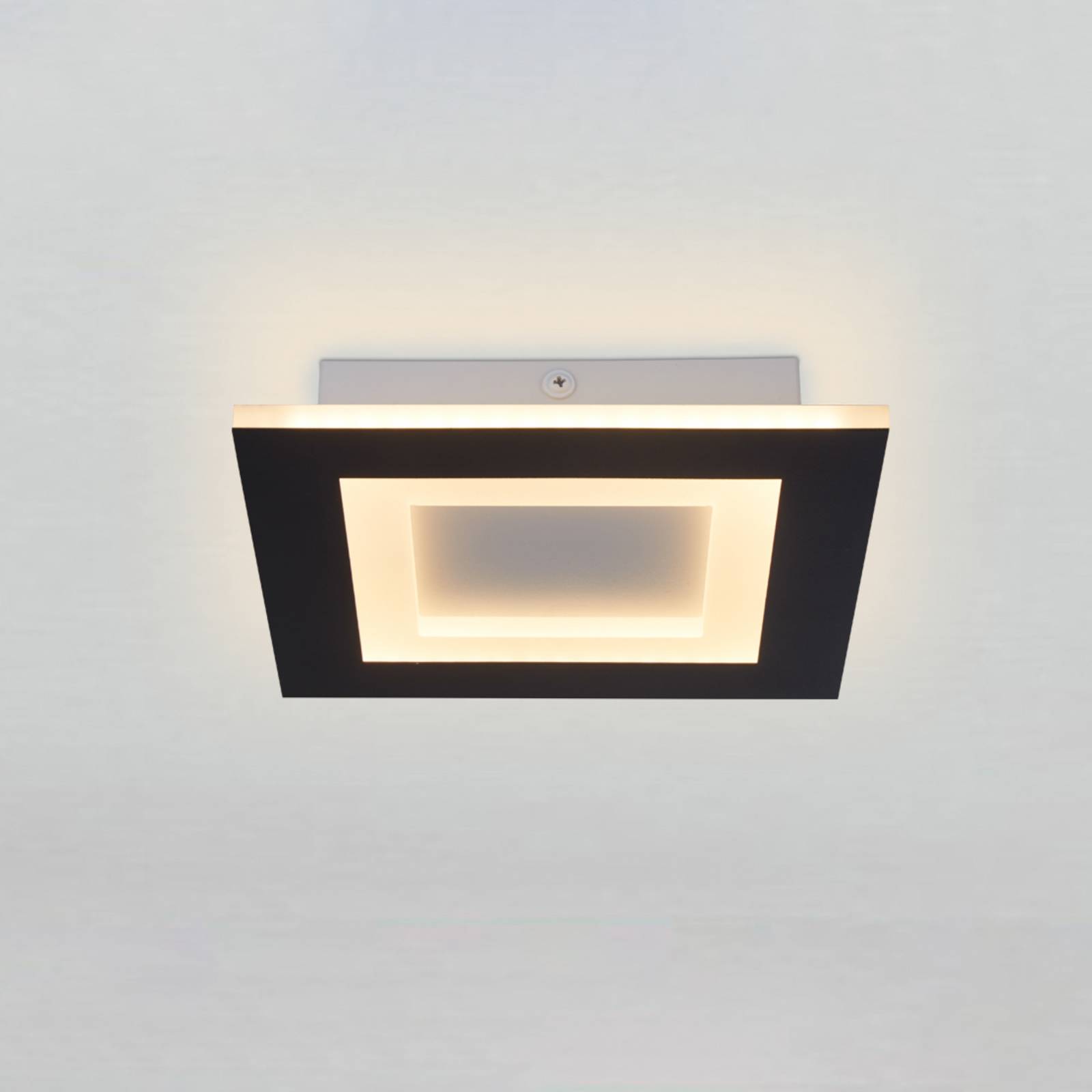 Searchlight Plafonnier LED Squary, longueur 25 cm, fer noir et blanc, CCT