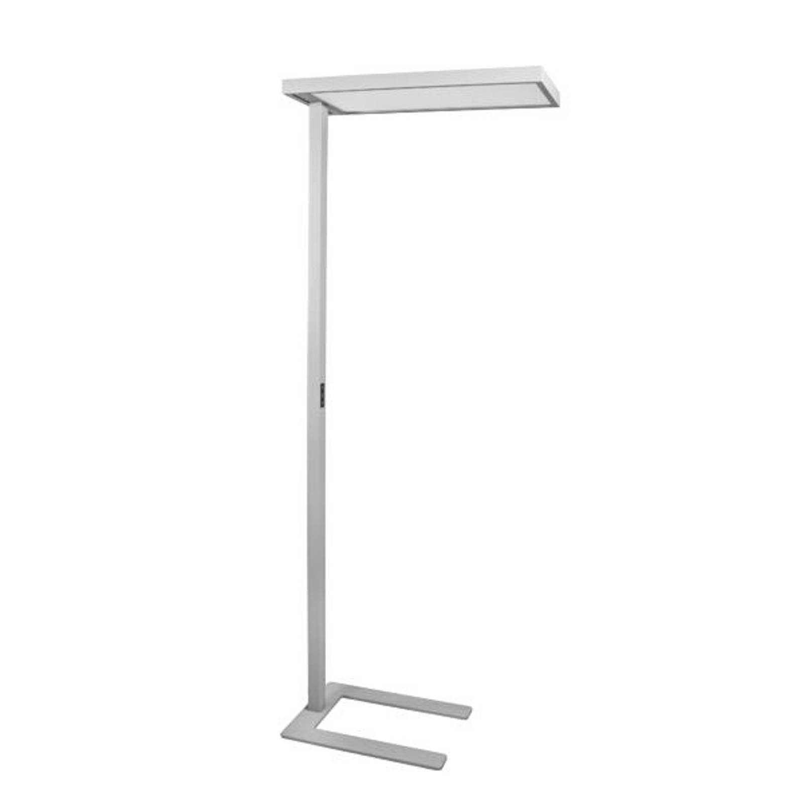 BRUMBERG Devan LED-Büro-Stehlampe up/down dim 840