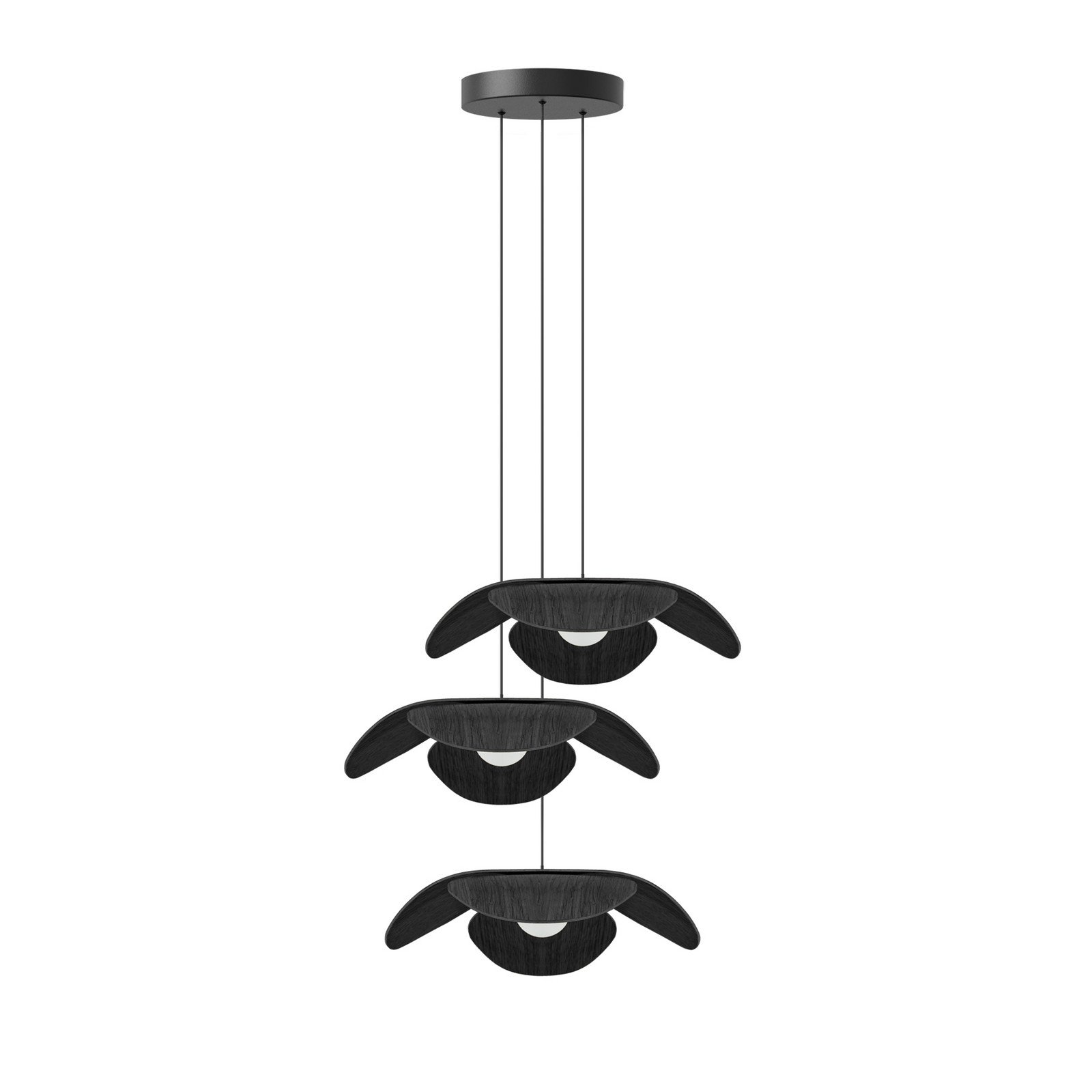 UMAGE Forget Me Not mediu pendul 3 becuri stejar negru - Camera de zi / sufragerie - Design - stejar negru alb - Lemn