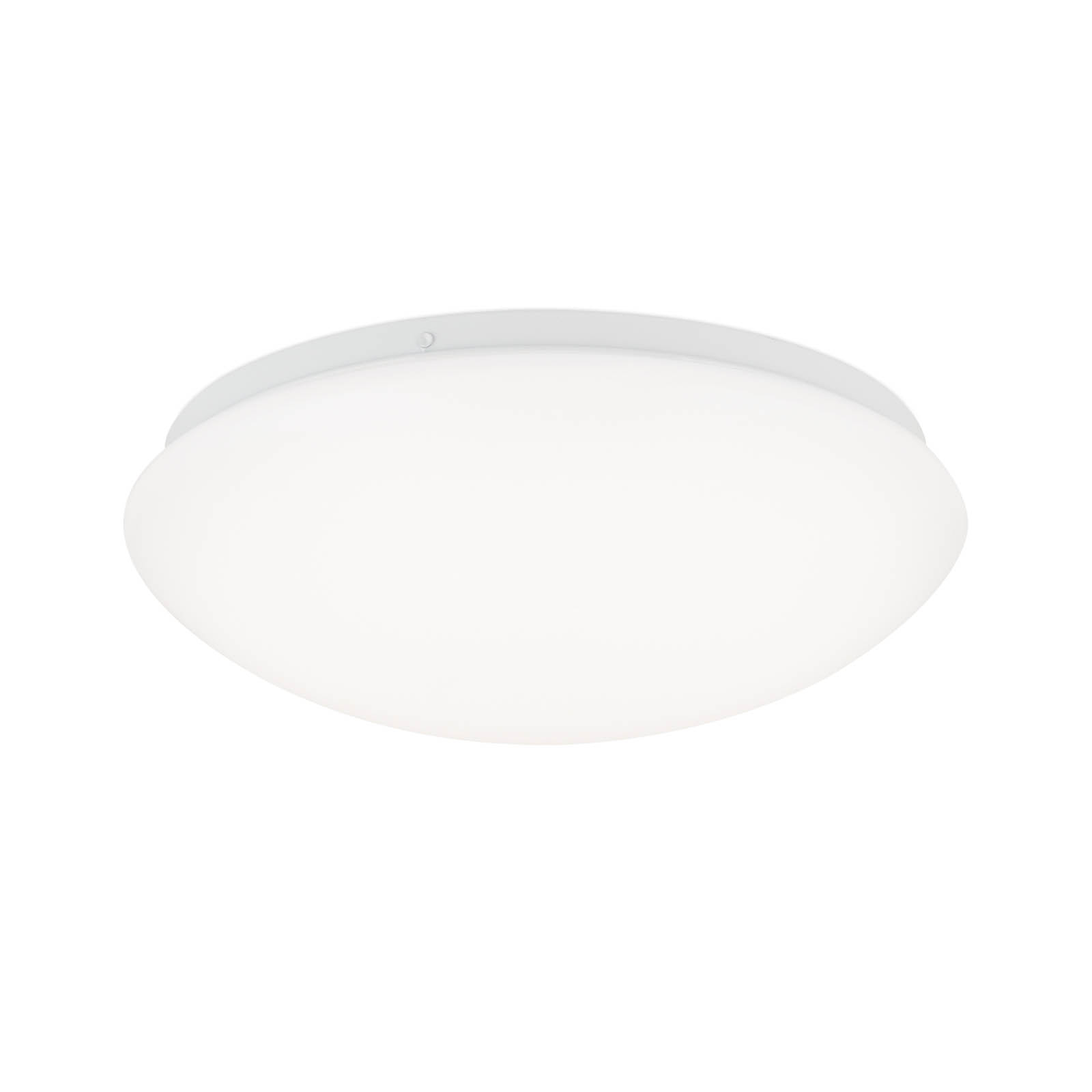 Nedo curved LED ceiling light