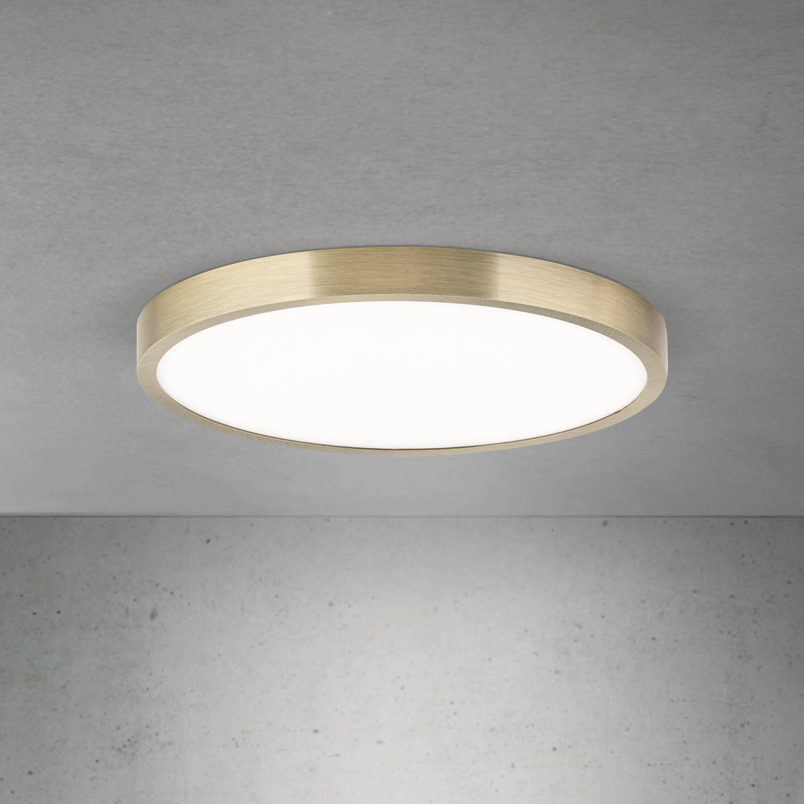 LED-Deckenlampe Disc, messingfarben antik, Ø 28 cm, CCT günstig online kaufen