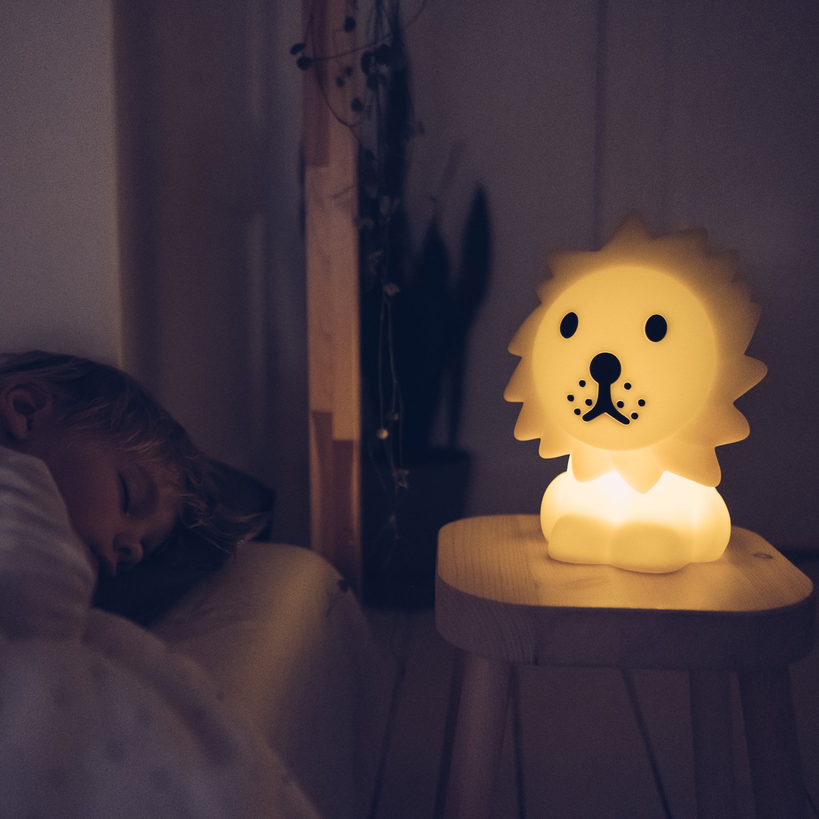 Lion First Light - Mr. Maria
