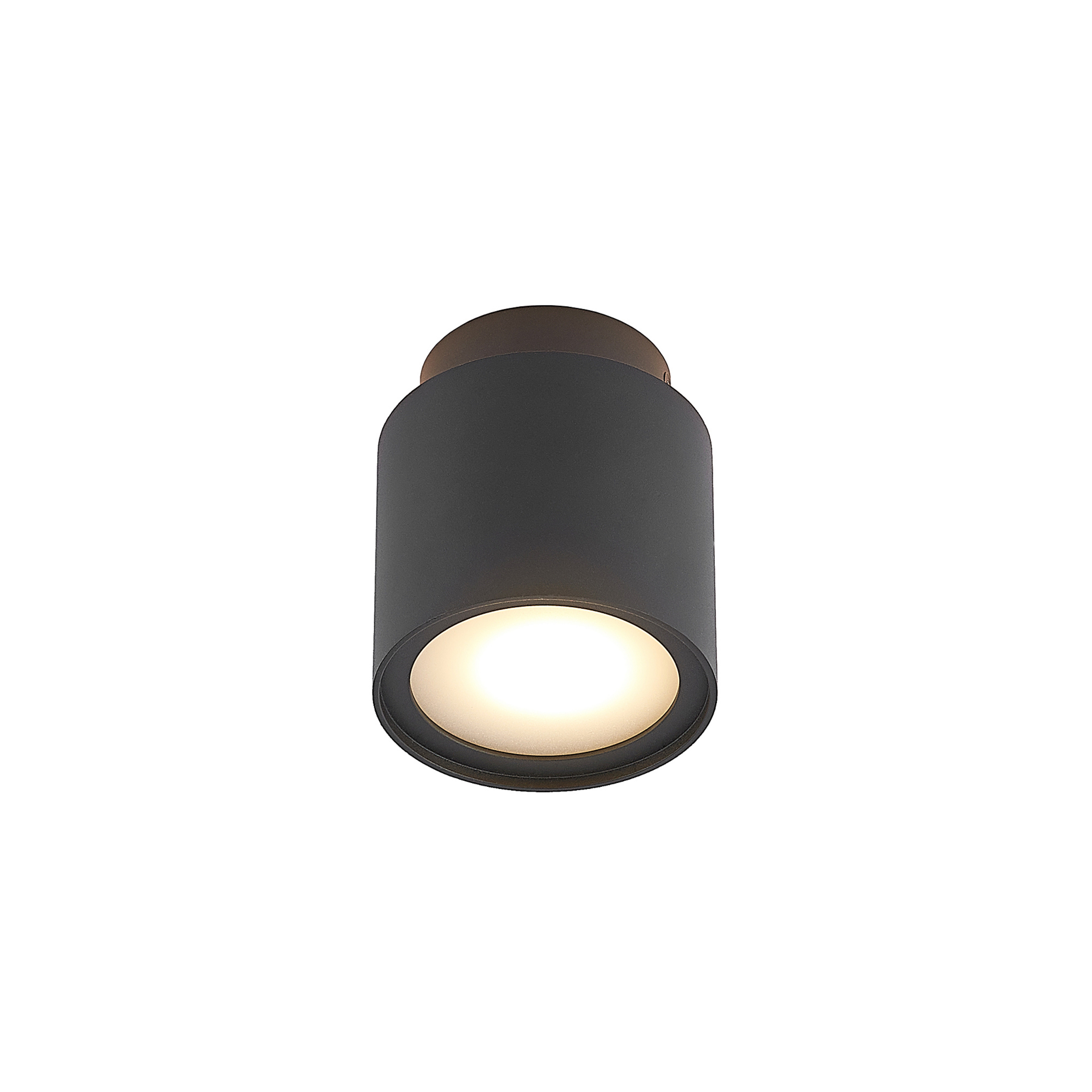 Walisa Deckenleuchte Black/Frosted - Arcchio